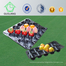 China/SGS/Many Sizes/Lemon Fruit or Vegetable Tray with Export Standard Made in China